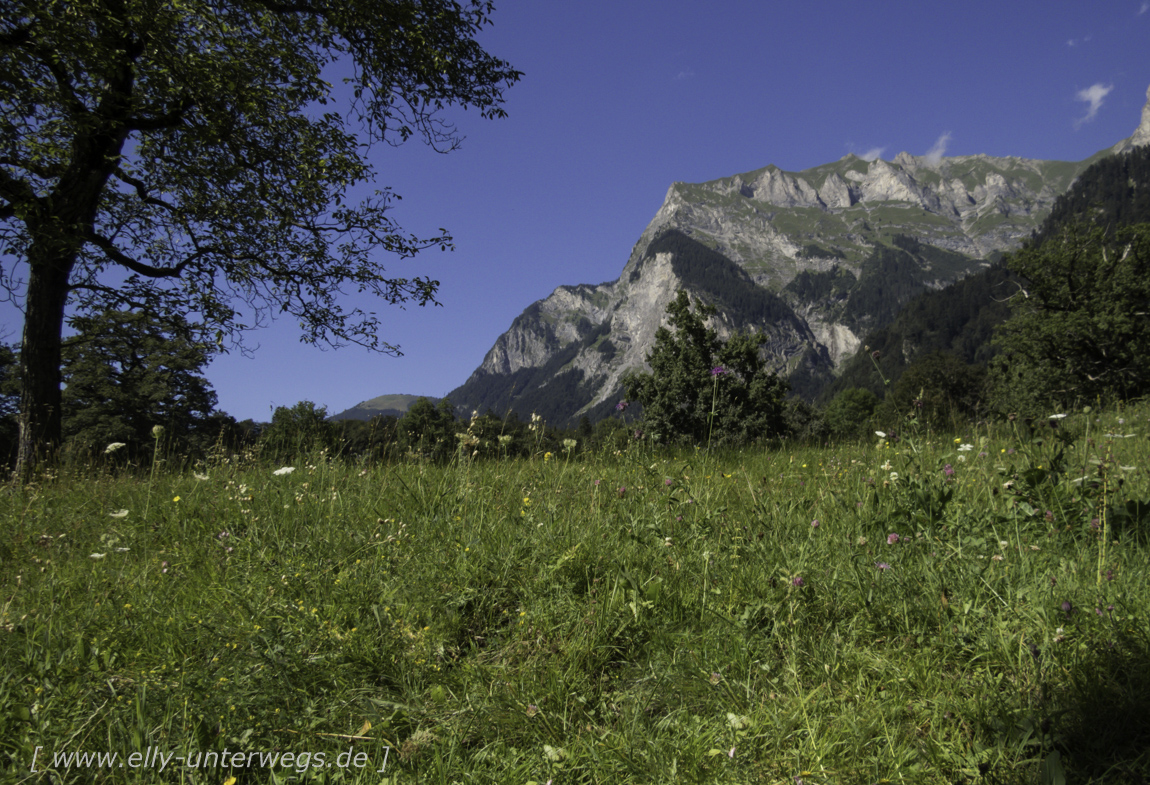 schweiz-heidiland-walensee-img_1044img_1044-3